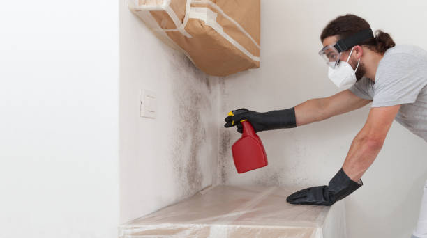 Professional Crawl Space Mold Removal technician working in Newport, WA
